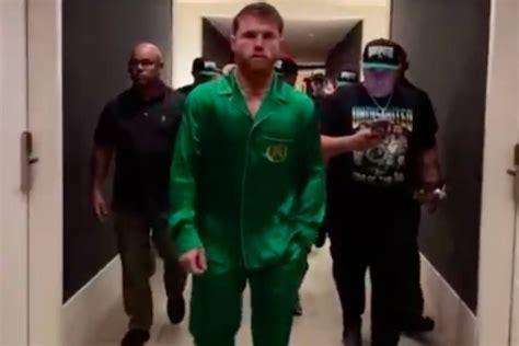 Boxing: Canelo Alvarez: How much did the luxury .